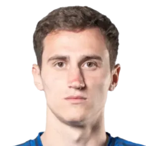 Aleksander Mitrovic