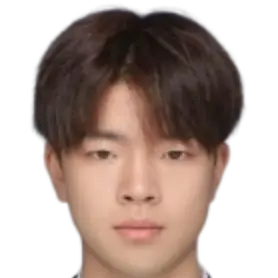Zhang Ruiqi