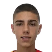 Petar Anicic
