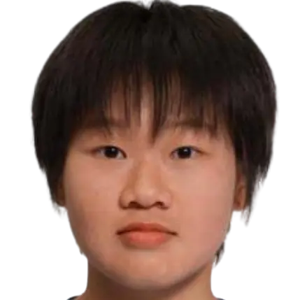 Ding Lei