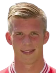 P. Kok