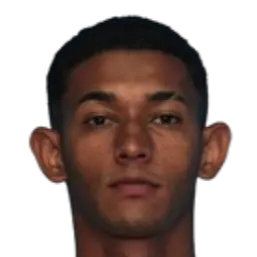 Pedro Henrique Gomes Costa Ferreira