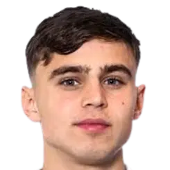 Emir Derviskadic
