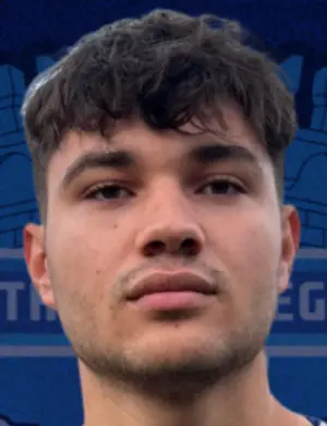 Alexandru dutu