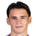 Armin Karic