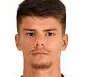Aljaz dzankic