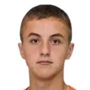 N. Domchak