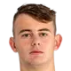 lubej fink
