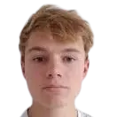 M. Homoet