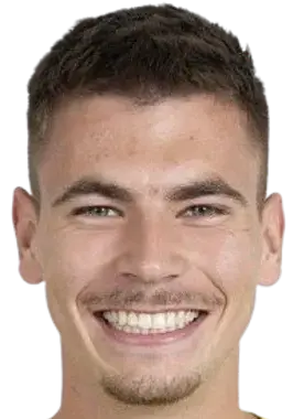 Dominik stech