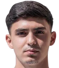 A. Arslan