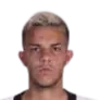 Ian Carlo Souza Daniel