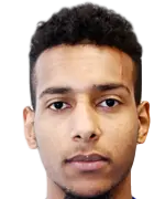 Mohammad Ibrahim Mohammad Ali Sarwashi