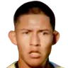 Mario Fernández Cuadiay