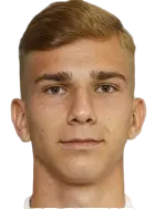 Erwin Softic