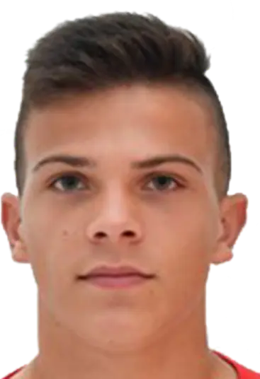leonardo petrovic