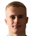 Viktor Bergh