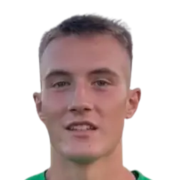 Branislav Knezevic