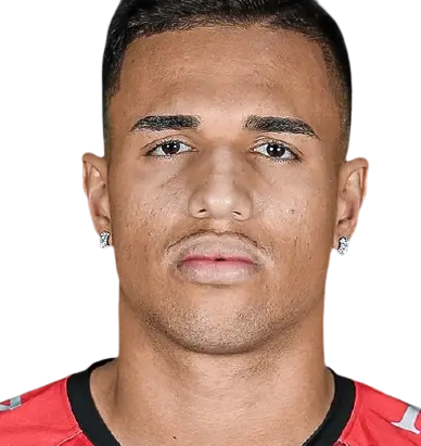Vinicius Kaue Ribeiro Ferreira