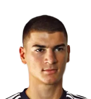 Dzemal Ibishi