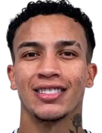 Gustavo Talles da Silva