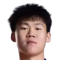 Wang Zicheng