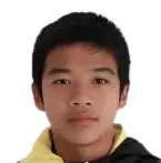 Fu Jiayi