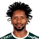 Zé Roberto