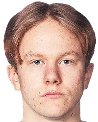 karl johansen
