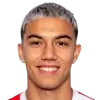josue schmidt