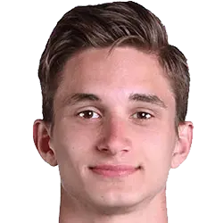 Dominik Plestil