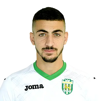 Hisham Layous