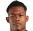 Orman davis
