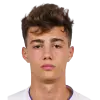 jovan mituljkic