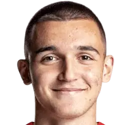 mile vukelic