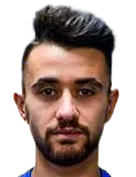 Y. Bayrak