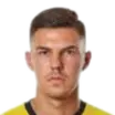 patrik mohorovic