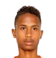 williams lugo