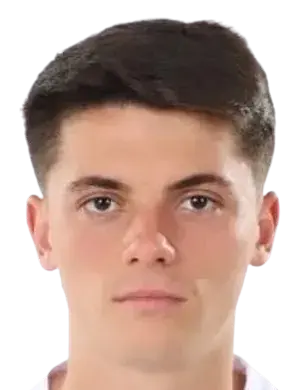 Mario Tudose