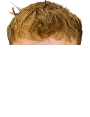 Tomas kopr