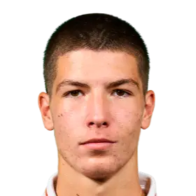 stefan gudelj