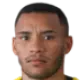 palominha