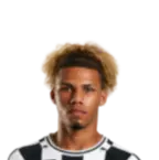 Nathan·Santos de Araujo