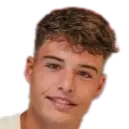 Stan van Manen