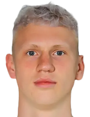 Roman zheleznyy
