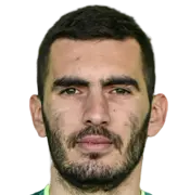 Vojin Pavlovic