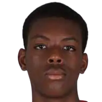 Yannis Nahounou