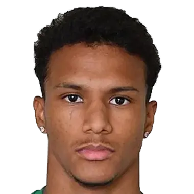 Fabiano Rodrigues Pereira