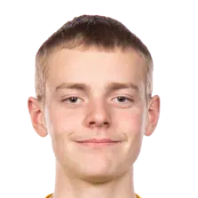 viggo laan der van