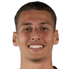 Henrique Menke